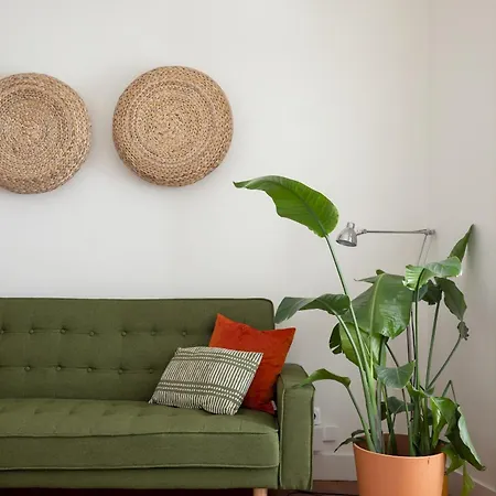 Historical Gem In Santa Catarina *